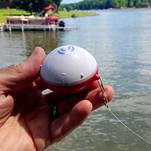 Hand holding a fishing bobber near a lake