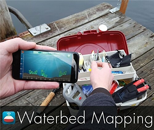Person using a smartphone app with a tackle box on a dock
