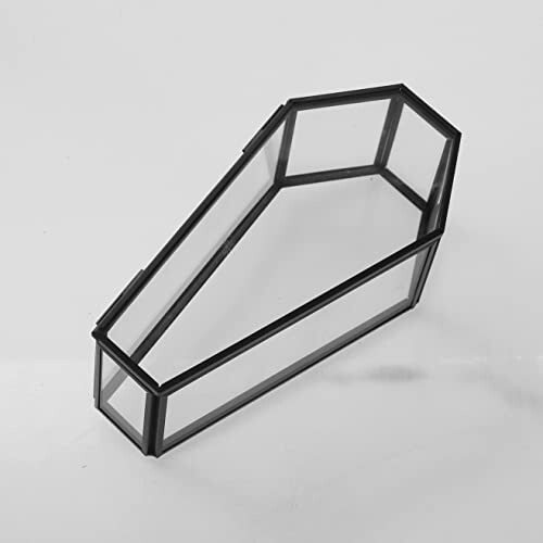 Transparent glass coffin-shaped box with black frame