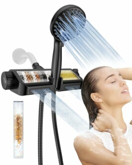 Filtered Shower Head with Handheld Combo